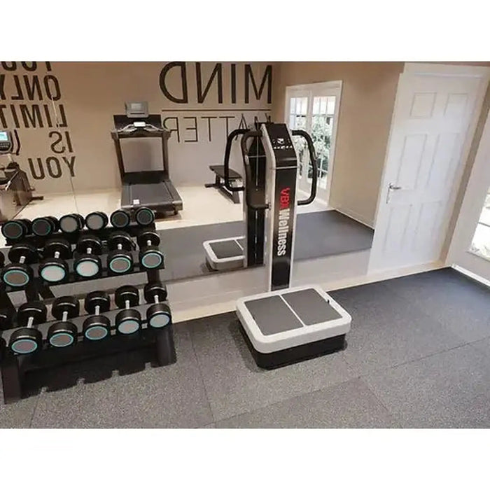 VBX 4000 Full Body Vibration Plate